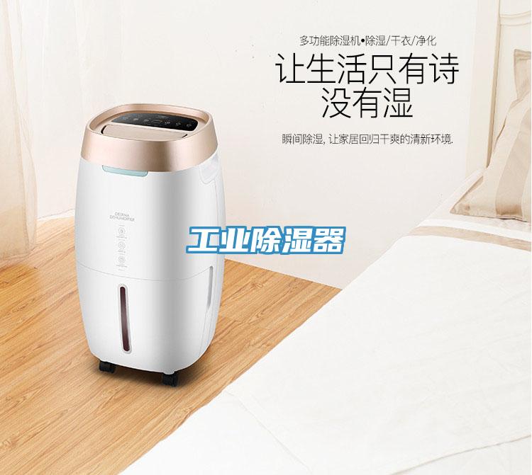 工業(yè)除濕器