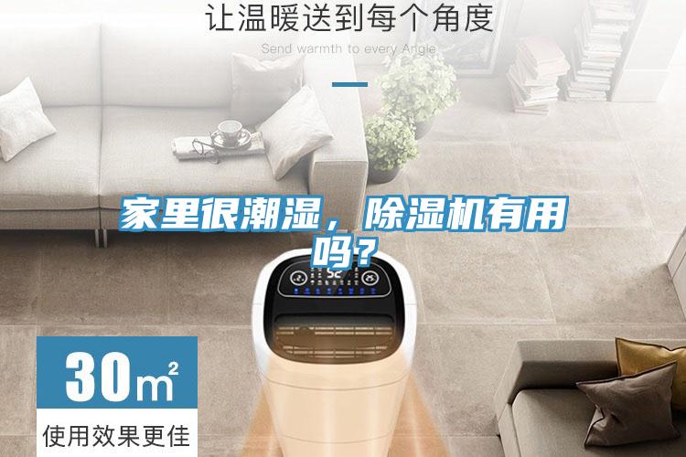 家里很潮濕，除濕機(jī)有用嗎？