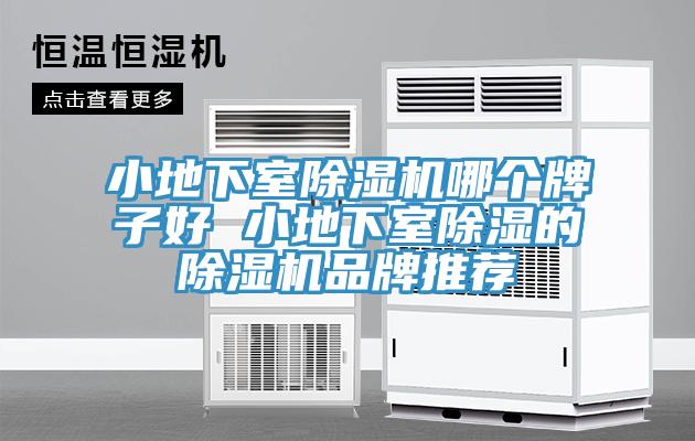 小地下室除濕機(jī)哪個(gè)牌子好 小地下室除濕的除濕機(jī)品牌推薦