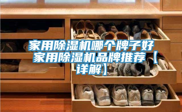 家用除濕機哪個牌子好 家用除濕機品牌推薦【詳解】