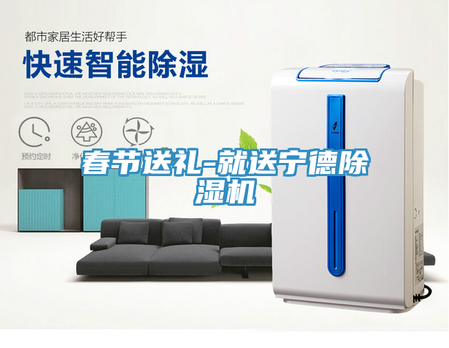 春節(jié)送禮-就送寧德除濕機(jī)