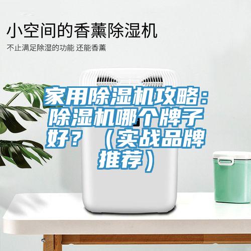 家用除濕機攻略：除濕機哪個牌子好？（實戰(zhàn)品牌推薦）