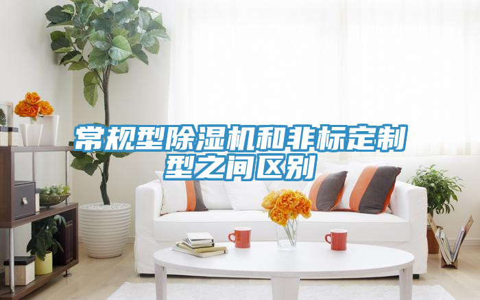 常規(guī)型除濕機和非標(biāo)定制型之間區(qū)別