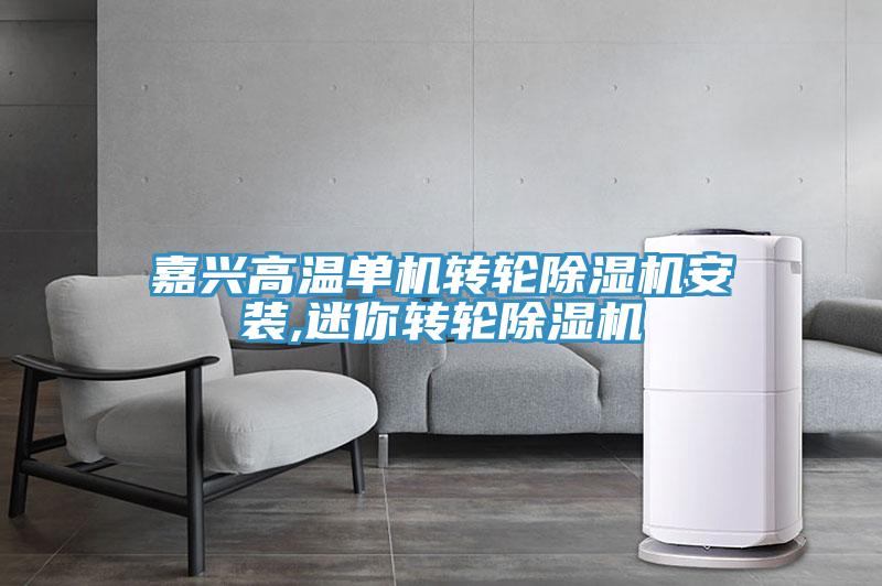 嘉興高溫單機轉(zhuǎn)輪除濕機安裝,迷你轉(zhuǎn)輪除濕機