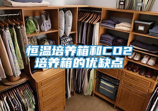 恒溫培養(yǎng)箱和CO2培養(yǎng)箱的優(yōu)缺點(diǎn)