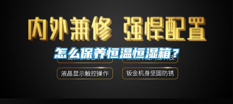 怎么保養(yǎng)恒溫恒濕箱？
