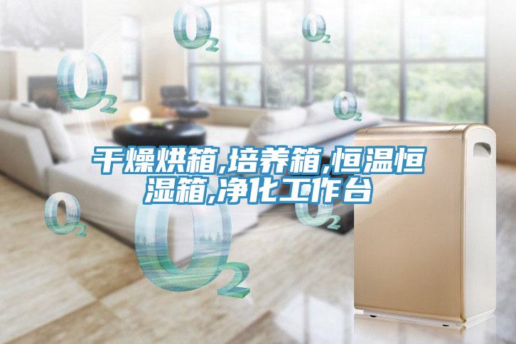 干燥烘箱,培養(yǎng)箱,恒溫恒濕箱,凈化工作臺
