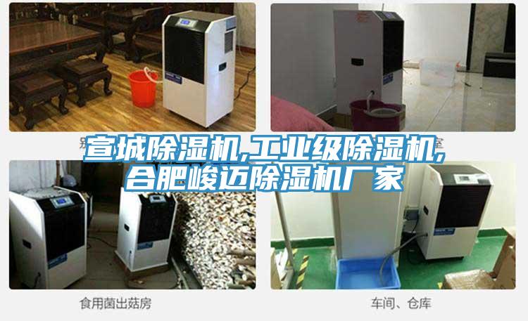 宣城除濕機(jī),工業(yè)級(jí)除濕機(jī),合肥峻邁除濕機(jī)廠家
