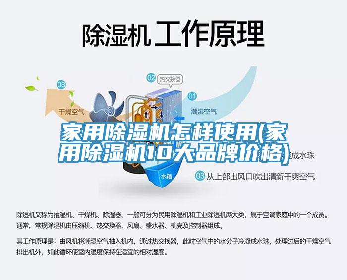 家用除濕機怎樣使用(家用除濕機10大品牌價格)
