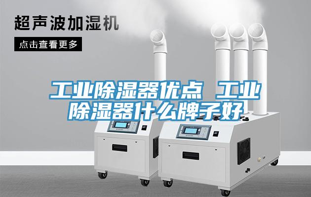 工業(yè)除濕器優(yōu)點(diǎn) 工業(yè)除濕器什么牌子好
