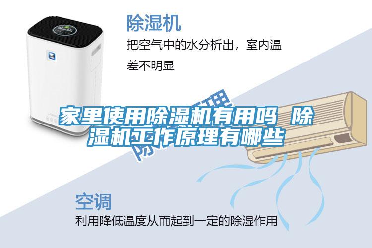 家里使用除濕機(jī)有用嗎 除濕機(jī)工作原理有哪些