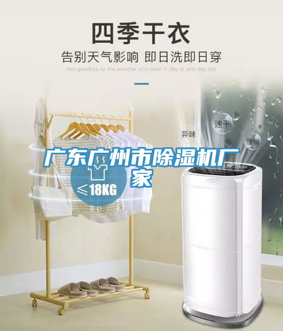 廣東廣州市除濕機(jī)廠家