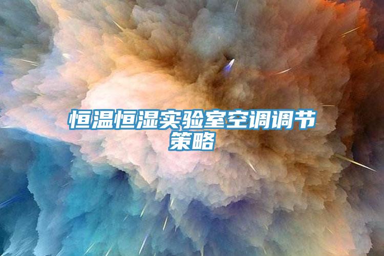 恒溫恒濕實(shí)驗(yàn)室空調(diào)調(diào)節(jié)策略