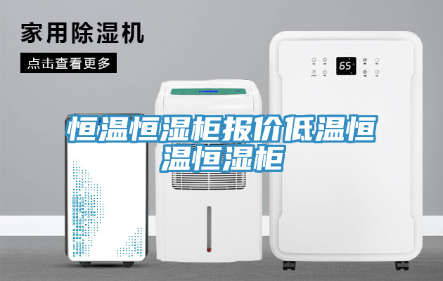 恒溫恒濕柜報(bào)價(jià)低溫恒溫恒濕柜