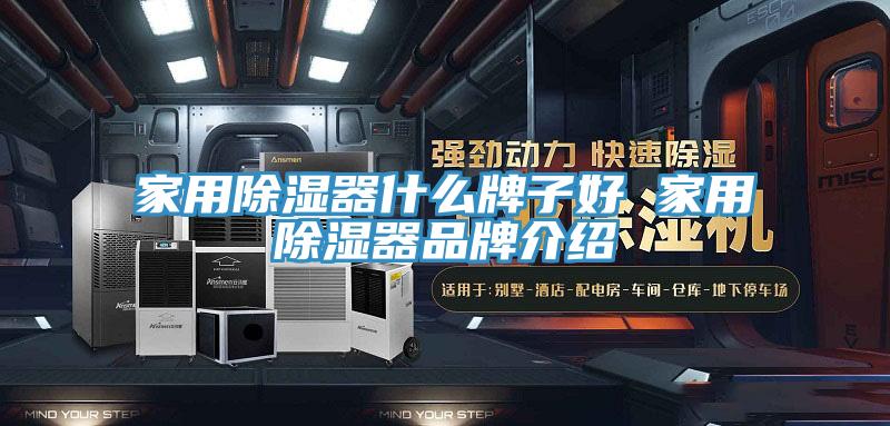 家用除濕器什么牌子好 家用除濕器品牌介紹