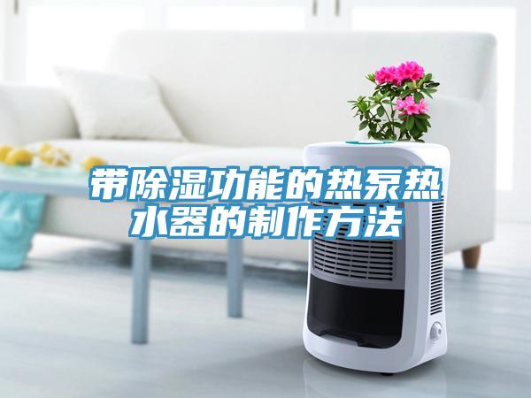 帶除濕功能的熱泵熱水器的制作方法