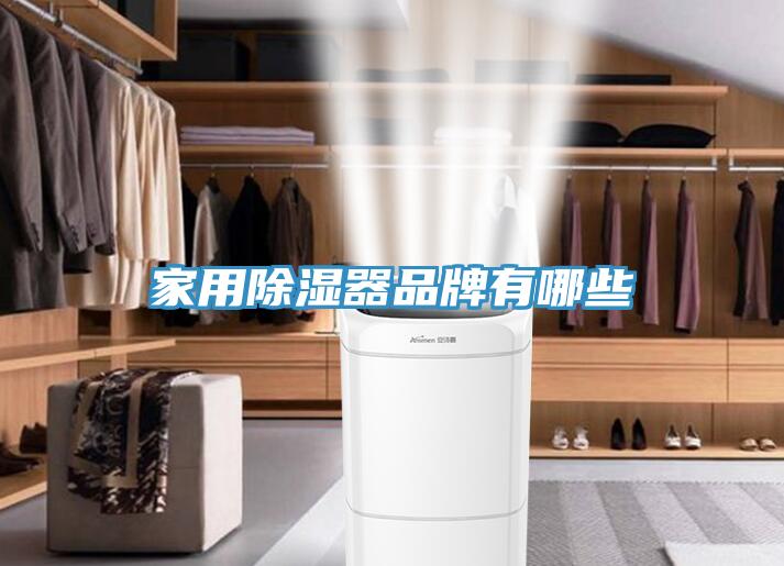 家用除濕器品牌有哪些