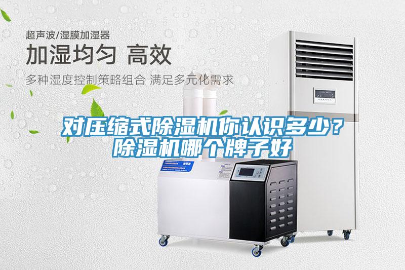 對壓縮式除濕機你認(rèn)識多少？除濕機哪個牌子好