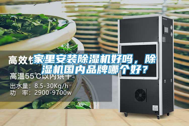 家里安裝除濕機(jī)好嗎，除濕機(jī)國內(nèi)品牌哪個好？