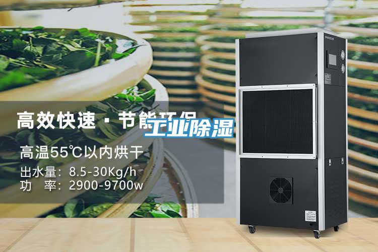 工業(yè)除濕