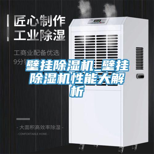 壁掛除濕機(jī)_壁掛除濕機(jī)性能大解析