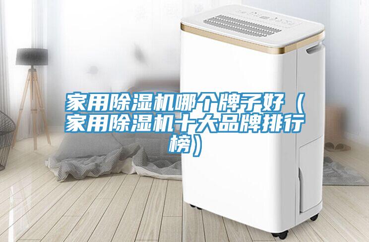 家用除濕機哪個牌子好（家用除濕機十大品牌排行榜）