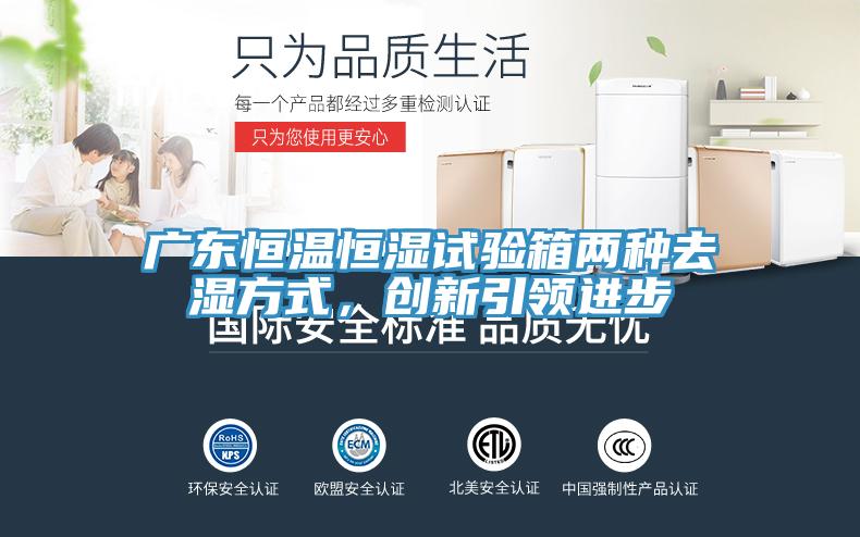 廣東恒溫恒濕試驗箱兩種去濕方式，創(chuàng)新引領進步