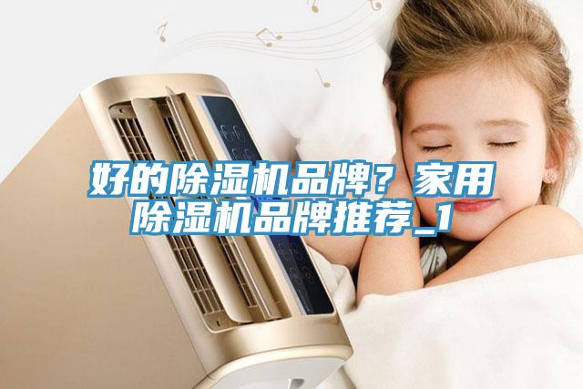 好的除濕機(jī)品牌？家用除濕機(jī)品牌推薦_1