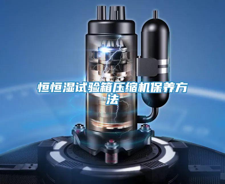 恒恒濕試驗(yàn)箱壓縮機(jī)保養(yǎng)方法