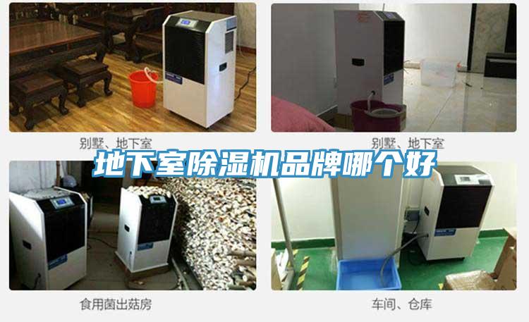 地下室除濕機(jī)品牌哪個(gè)好