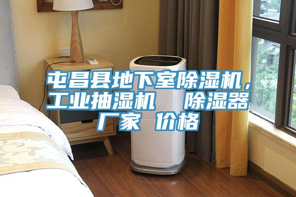 屯昌縣地下室除濕機(jī)，工業(yè)抽濕機(jī)  除濕器廠家 價(jià)格
