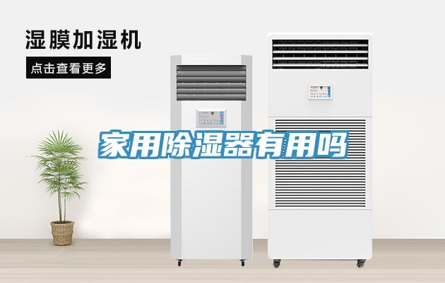 家用除濕器有用嗎