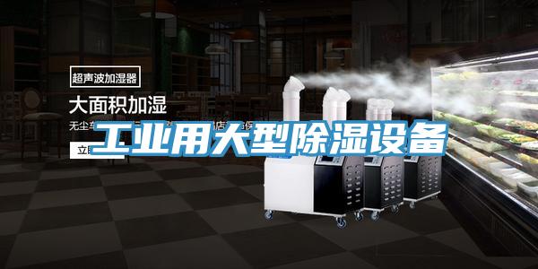 工業(yè)用大型除濕設(shè)備