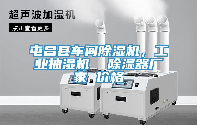 屯昌縣車間除濕機(jī)，工業(yè)抽濕機(jī)  除濕器廠家 價(jià)格