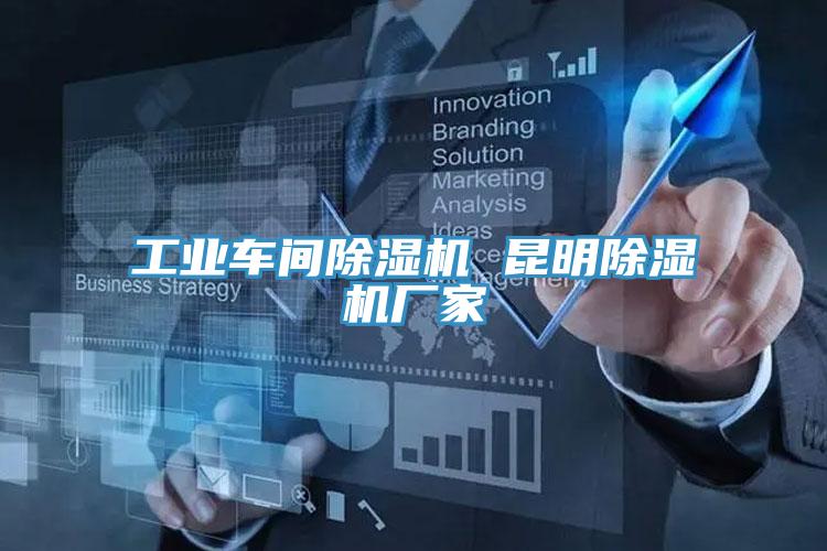 工業(yè)車間除濕機(jī) 昆明除濕機(jī)廠家