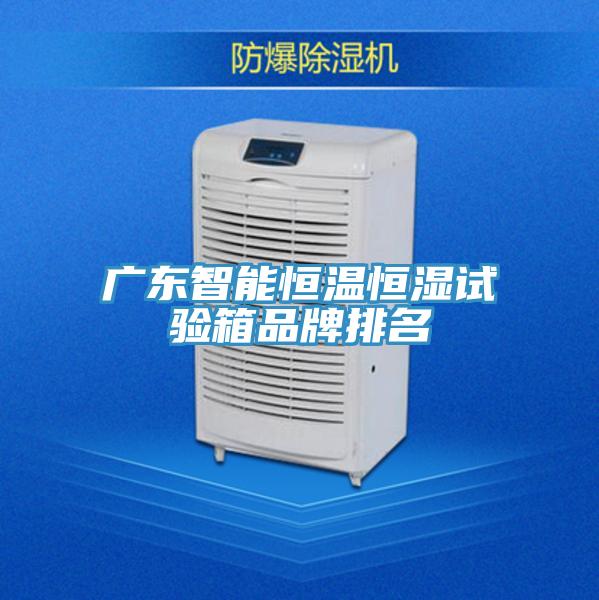 廣東智能恒溫恒濕試驗箱品牌排名