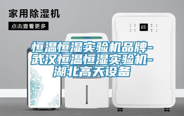 恒溫恒濕實(shí)驗(yàn)機(jī)品牌-武漢恒溫恒濕實(shí)驗(yàn)機(jī)-湖北高天設(shè)備