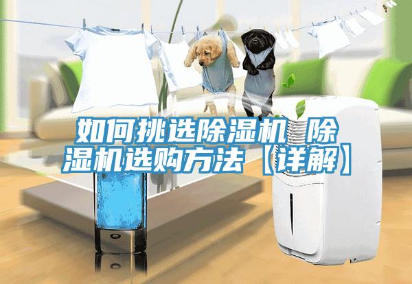 如何挑選除濕機(jī) 除濕機(jī)選購(gòu)方法【詳解】