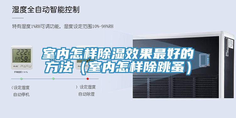 室內(nèi)怎樣除濕效果最好的方法（室內(nèi)怎樣除跳蚤）