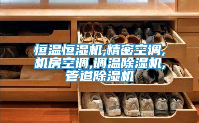 恒溫恒濕機,精密空調(diào),機房空調(diào),調(diào)溫除濕機,管道除濕機