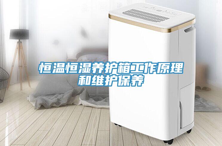 恒溫恒濕養(yǎng)護箱工作原理和維護保養(yǎng)