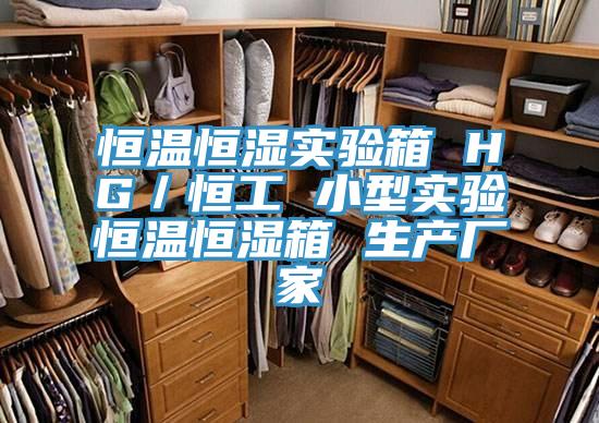恒溫恒濕實(shí)驗(yàn)箱 HG／恒工 小型實(shí)驗(yàn)恒溫恒濕箱 生產(chǎn)廠家