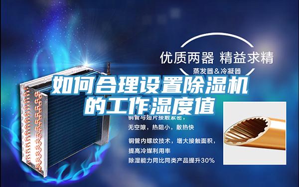 如何合理設(shè)置除濕機(jī)的工作濕度值