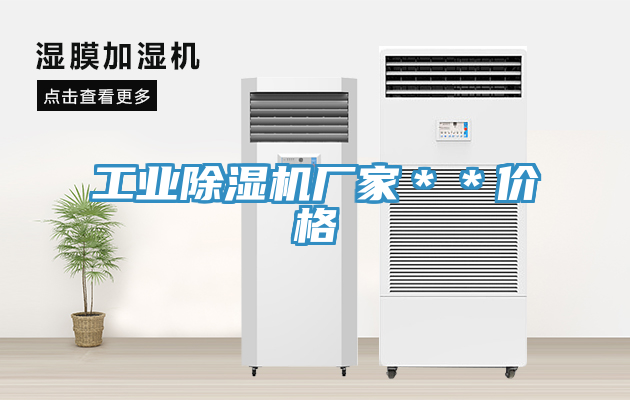 工業(yè)除濕機(jī)廠家＊＊價(jià)格