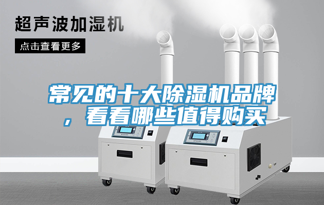 常見(jiàn)的十大除濕機(jī)品牌，看看哪些值得購(gòu)買