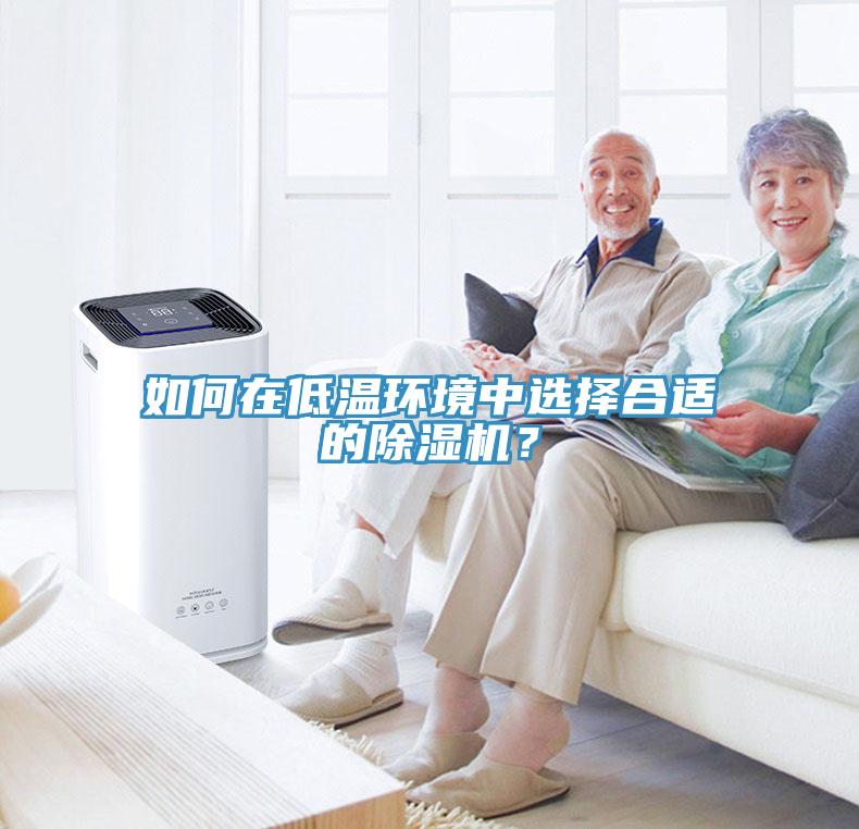 如何在低溫環(huán)境中選擇合適的除濕機(jī)？