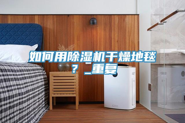 如何用除濕機(jī)干燥地毯？_重復(fù)
