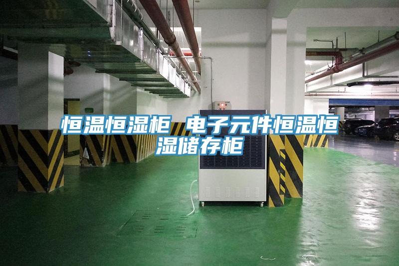 恒溫恒濕柜 電子元件恒溫恒濕儲存柜