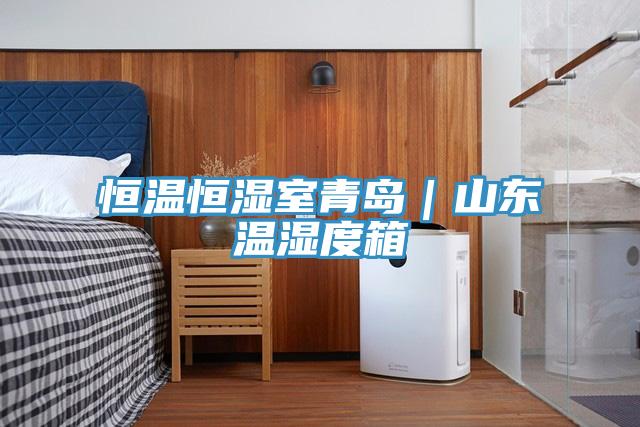 恒溫恒濕室青島｜山東溫濕度箱