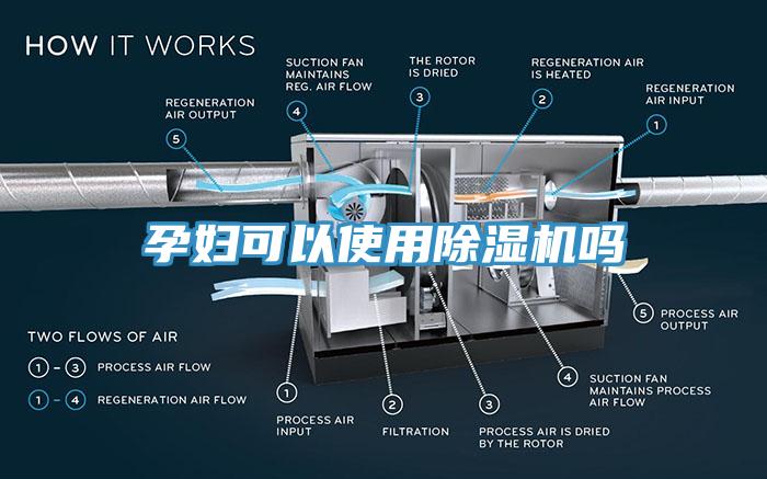 孕婦可以使用除濕機嗎